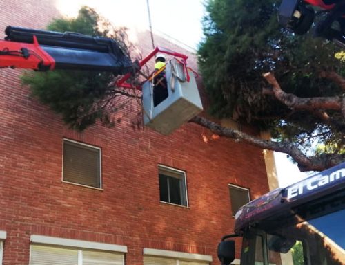 Alquiler de plataformas elevadoras en Alicante