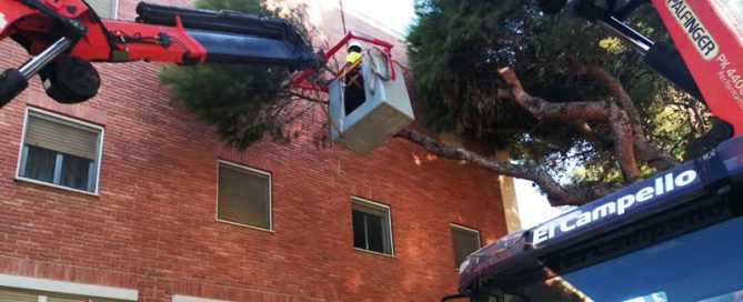 Alquiler de plataformas elevadoras en Alicante