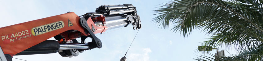 Gruas El Campello os desea un feliz 2022
