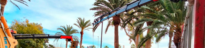 Tu servicio de alquiler de grúas móviles telescópicas y camiones grúa autocargantes en Alicante